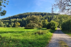 Impressionen-der-Herbstexkursion_Juergen-Wiek-10