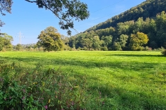 Impressionen-der-Herbstexkursion_Juergen-Wiek-8